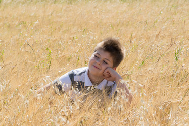 Similar image 6584690