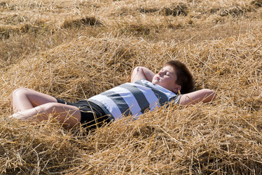 Similar image 6584696