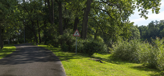 Similar image 6584919