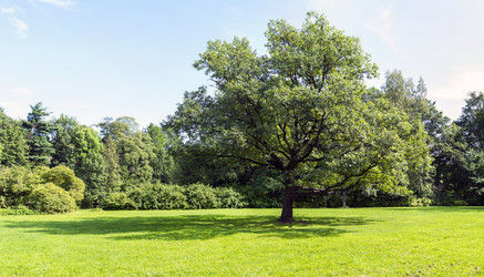 Similar image 6584922