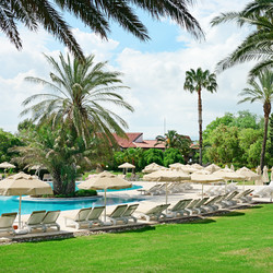 Similar image 6584930