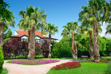 Similar image 6584937