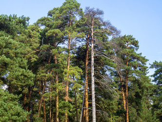 Similar image 6584942