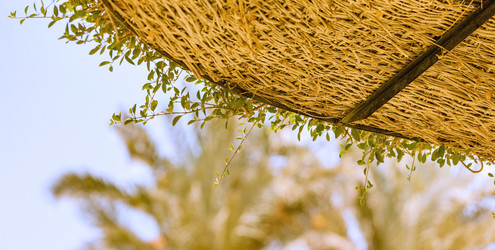 Similar image 6584945