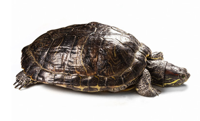 Similar image 6584949