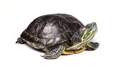 Similar image 6584952