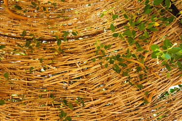 Similar image 6584954