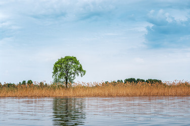 Similar image 6584958