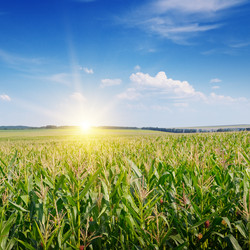 Similar image 6585497