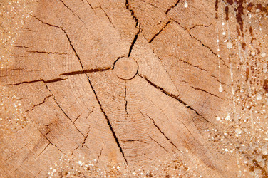 Similar image 6585966