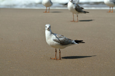 Similar image 6586012