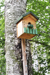 Similar image 6586161