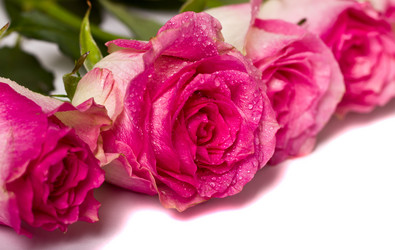 Similar image 6586402