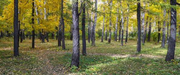 Similar image 6586743