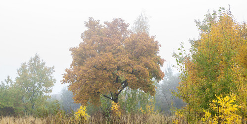 Similar image 6586766