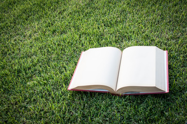 Similar image 6586815