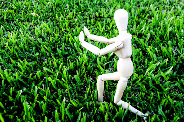 Similar image 6586830