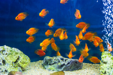 Similar image 6586917