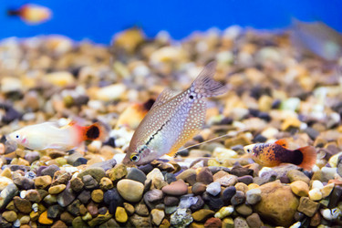 Similar image 6586919