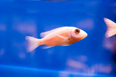 Similar image 6586922