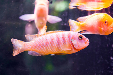 Similar image 6586925