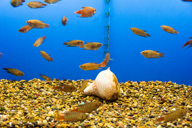 Similar image 6586926