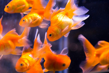 Similar image 6586934