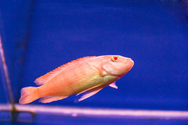 Similar image 6586935