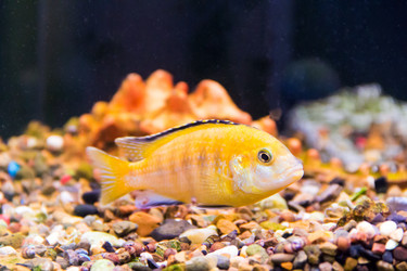 Similar image 6586957