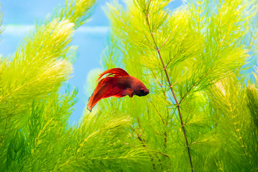 Similar image 6586960