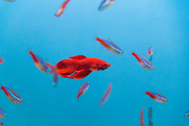 Similar image 6586961