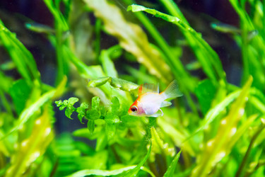 Similar image 6586962