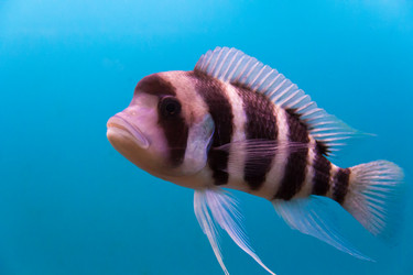 Similar image 6586964