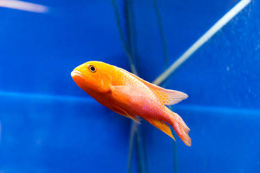 Similar image 6586969