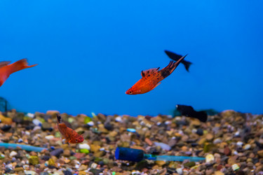 Similar image 6586970