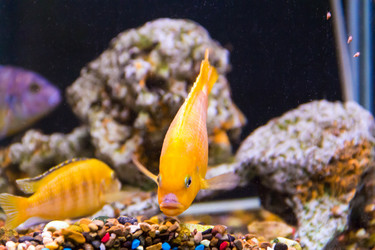 Similar image 6586971