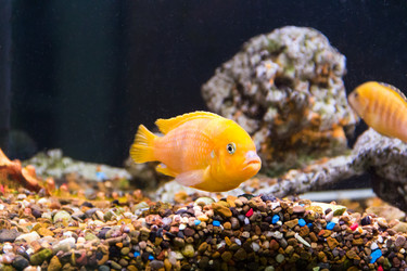 Similar image 6586972