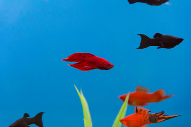 Similar image 6586983