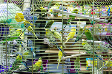 Similar image 6586984