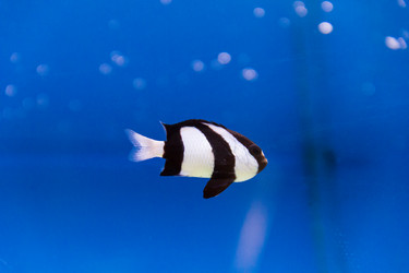 Similar image 6586988