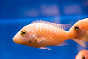 Similar image 6586989