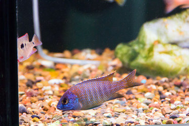 Similar image 6586990