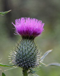 Similar image 6587124