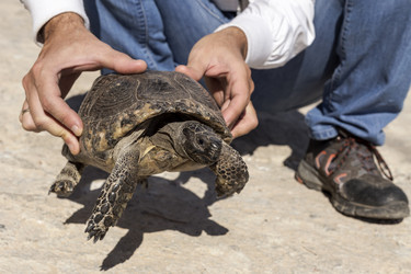 Similar image 6587167