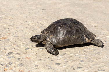 Similar image 6587169