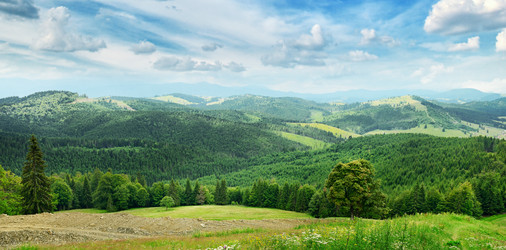 Similar image 6587190