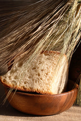 Similar image 6587295