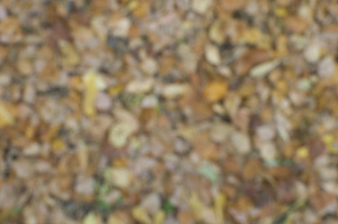 Similar image 6587299