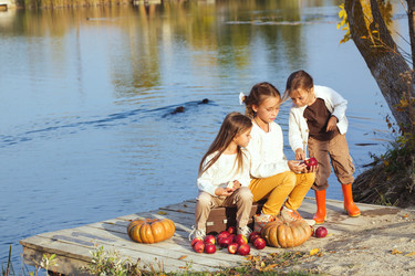 Similar image 6587478