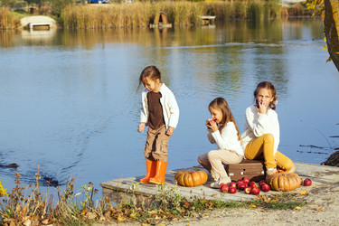 Similar image 6587479